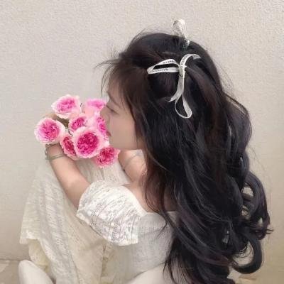 布里斯比熊